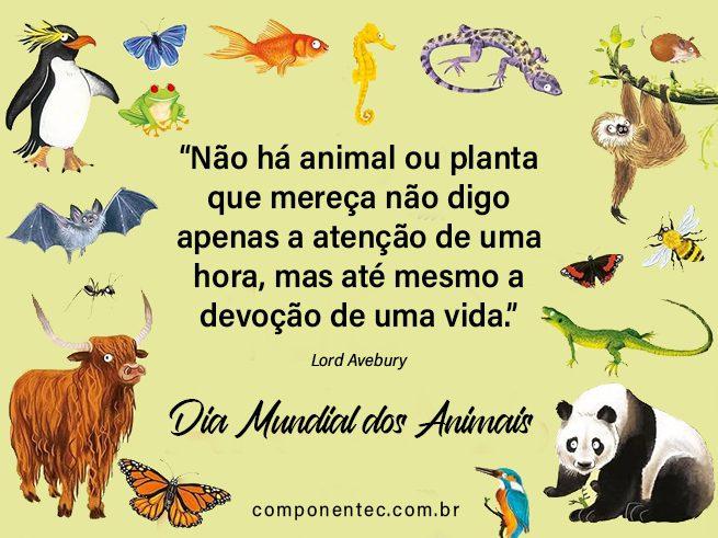 Frases dia mundial dos animais