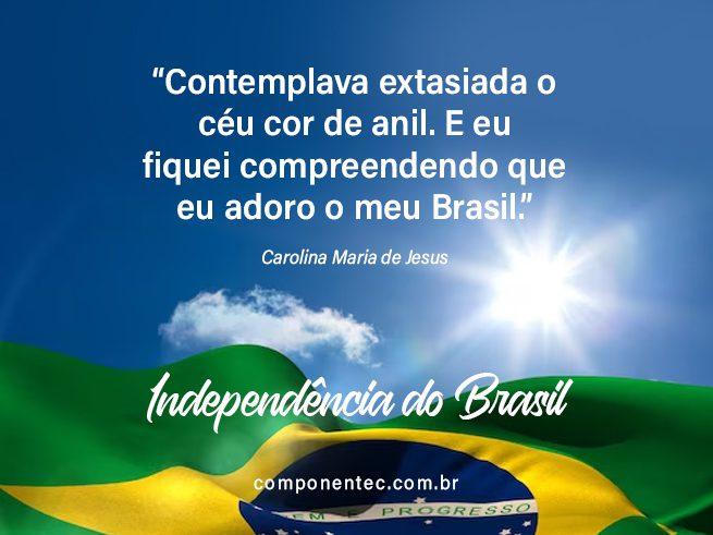 Frases Indeoendência do Brasil